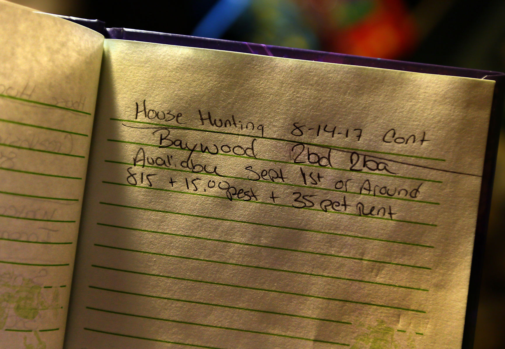 house hunting notes kingstree family.jpg